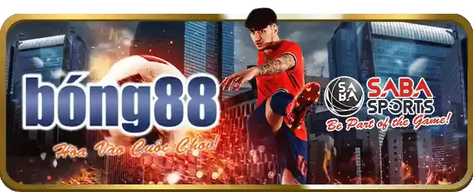 Câu lạc bộ VIP km88 bet